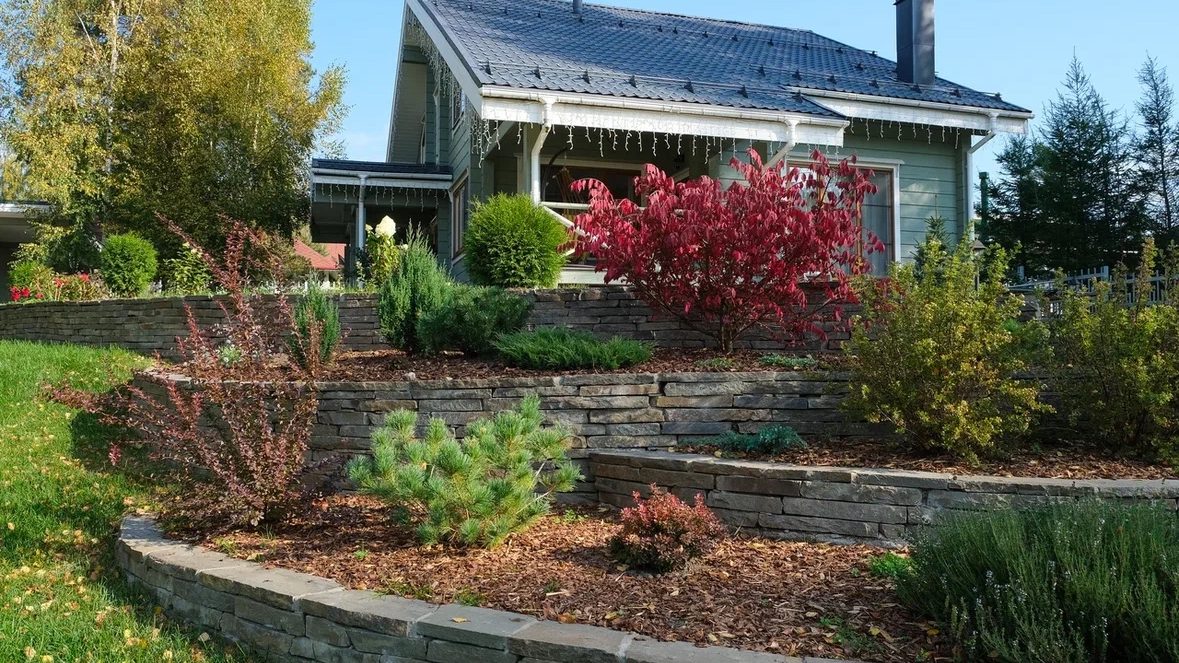 Стройка дома и параллельное благоустройство участка: как сделать всё правильно