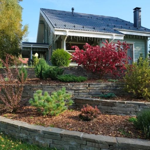 Стройка дома и параллельное благоустройство участка: как сделать всё правильно