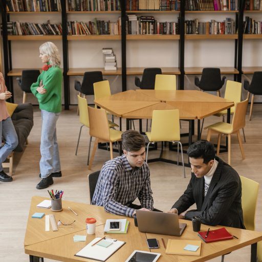 НИУ ВШЭ с новой программой бакалавриата: «Девелопмент и городское планирование»