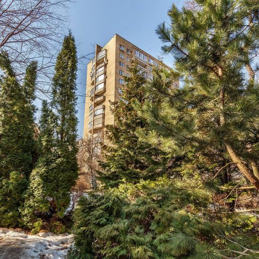 Дом рядом с Аптекарским огородом